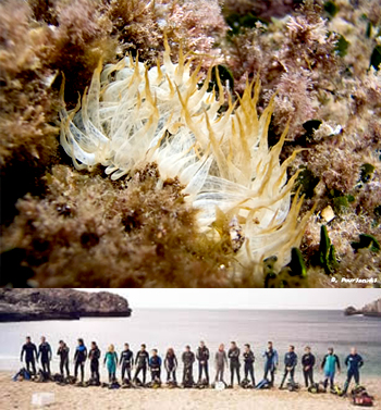 Diver’s Club στη Χερσόνησο