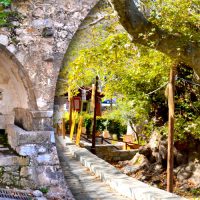 Old Plane Trees and Fountains at Krasi village